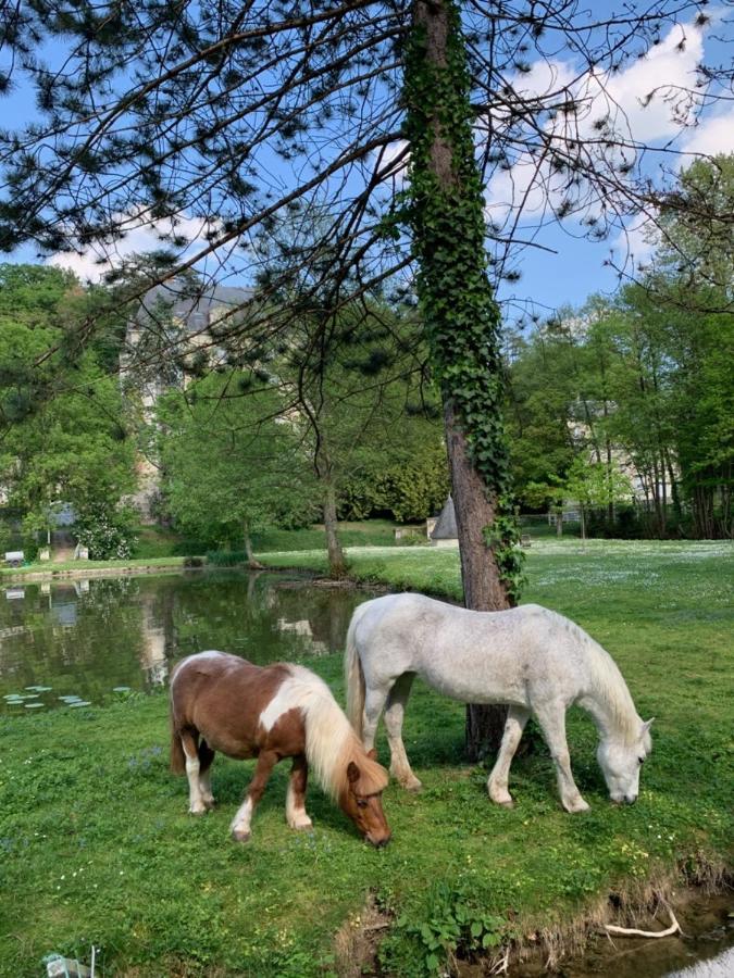 Gite Familial Chateau La Roche Racan Saint-Paterne-Racan Bagian luar foto